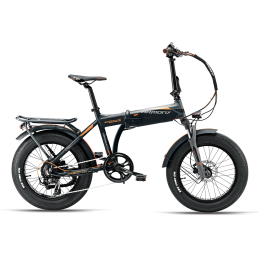 Bici elettrica - ARMONY...