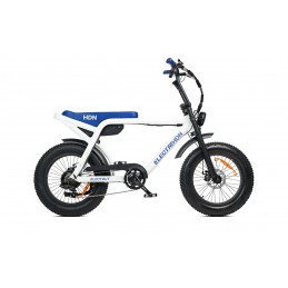 Bici elettrica - HDN -...
