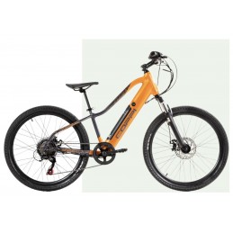 Bici elettrica ragazzi -...