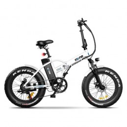 Fat-bike elettrica...