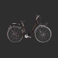 Bici Elettriche City